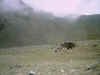 Campamento Base las Veguitas