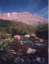 Arrollo de la Cascada del Salto